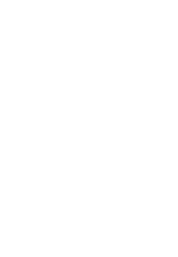 Birds Georgia Corporation logo