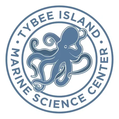 Tybee Island Marine Science Foundation Inc logo