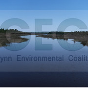 Glynn Environmental Coalition Inc logo