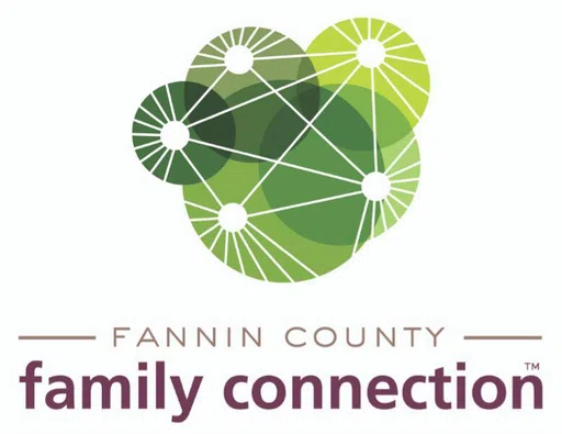 Fannin County Family Connection logo