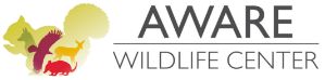 Atlanta Wild Animal Rescue Effort Inc logo