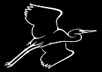 Florida Audubon Society logo