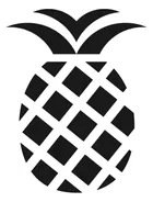 Boca Raton Regional Hospital Inc logo