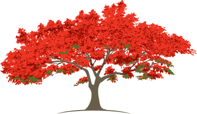 Royal Poinciana Golf Club Inc logo