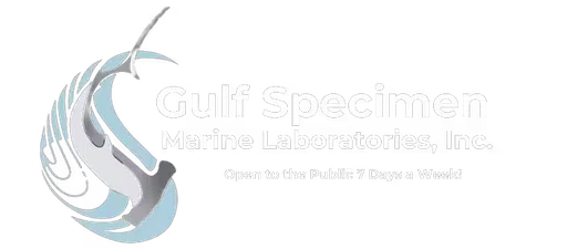 Gulf Specimen Marine Laboratories Inc logo