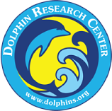 Dolphin Research Center Inc logo