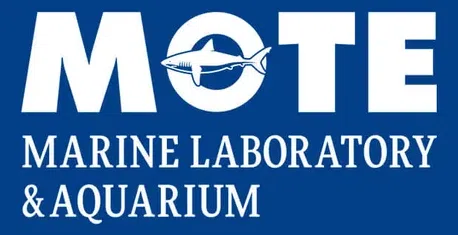 Mote Marine Foundation Inc logo