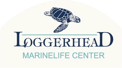 Loggerhead Marinelife Center Inc logo