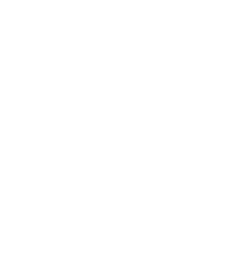 Sarasota Performing Arts Center Foundation Inc logo