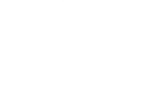 Cornerstone Hospice Foundation Inc logo