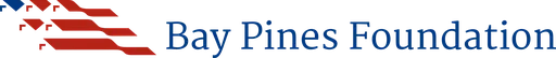 Bay Pines Foundation Inc logo