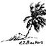 A E Bean Backus Gallery & Museum Inc logo