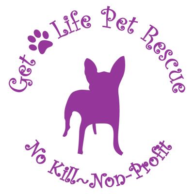 South Florida Pet Rescue and Rehabilitation Inc logo