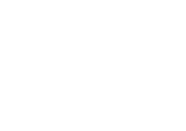 Brescia University Inc logo