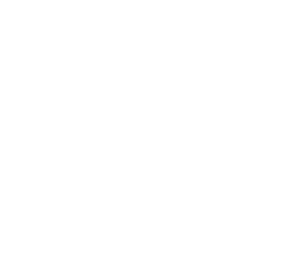 Christian Appalachian Project Inc logo