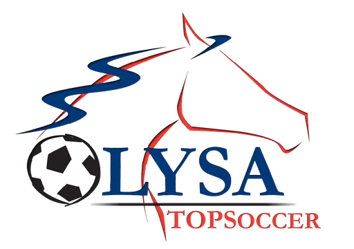 Lexington Youth Soccer Association Inc logo