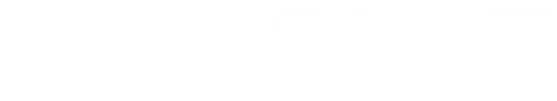 Passport Inc logo