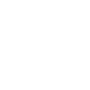 Alley Cat Advocates Inc logo