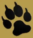 Andover Football Association Inc logo