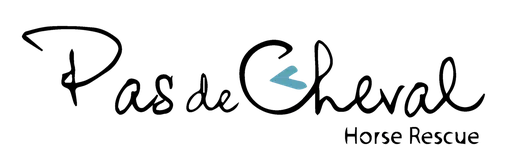 PAS De Cheval Horse Rescue logo