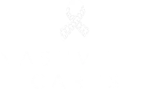 Nashville C a R E S Inc logo