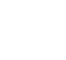 Aslan Foundation logo