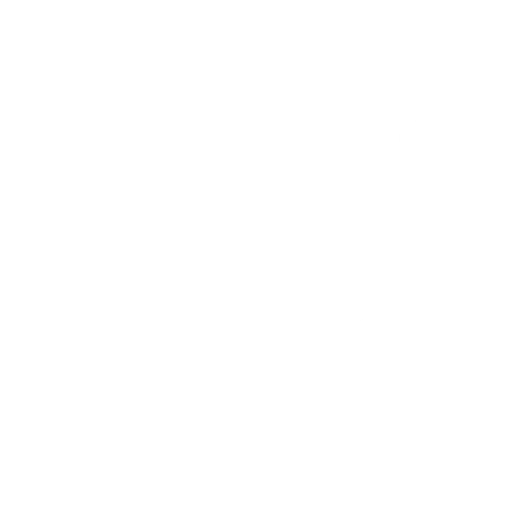 Camp Living Stones logo
