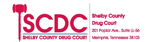 Shelby County Drug Court Support Foundation logo