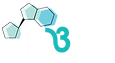 International Society for Nucleotides & Nucleic Acids logo