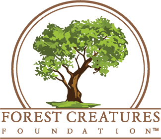 Forest Creatures Foundation Ltd logo