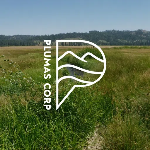 Plumas Corporation logo