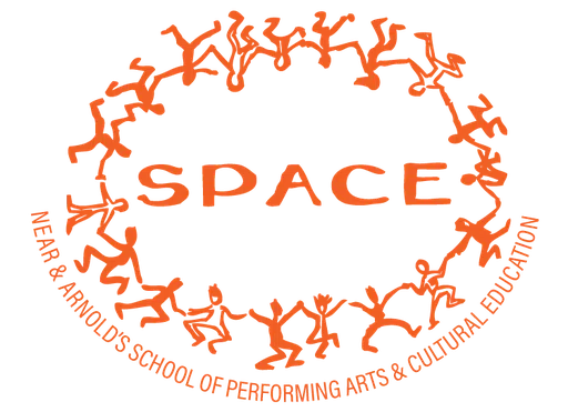 Near & Arnolds School of Performing Arts & Cultural Education logo