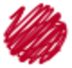 International Forum of Visual Practitioners logo