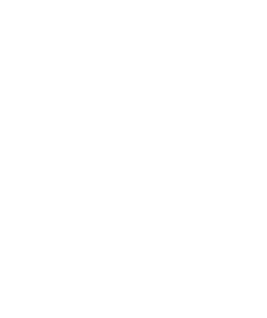 Phoenix Youth and Family Services Inc logo