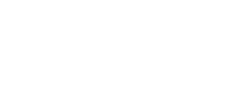 Traveling Team Inc logo