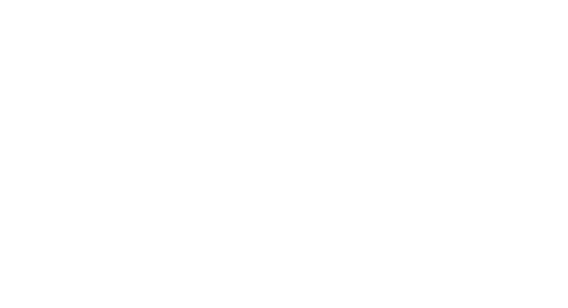 Traveling Team Inc logo