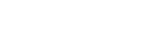 Nashville Wine Auction logo