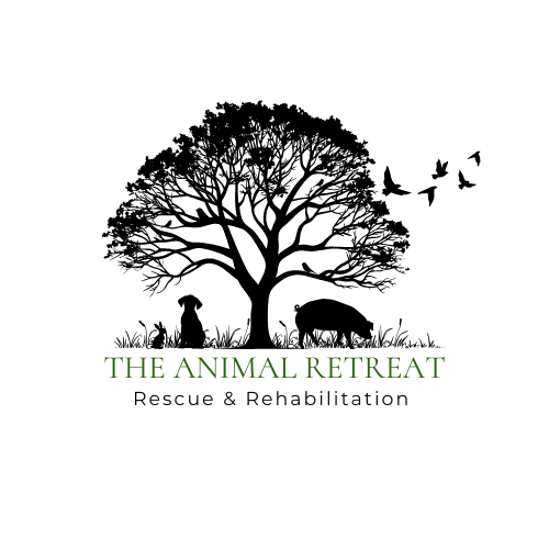 Animal Retreat Inc logo