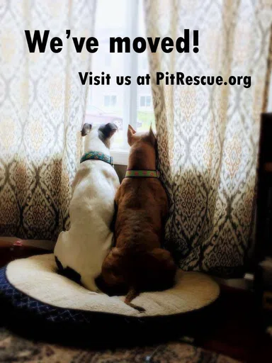 Sioux Empire Pit Bull Rescue Inc logo