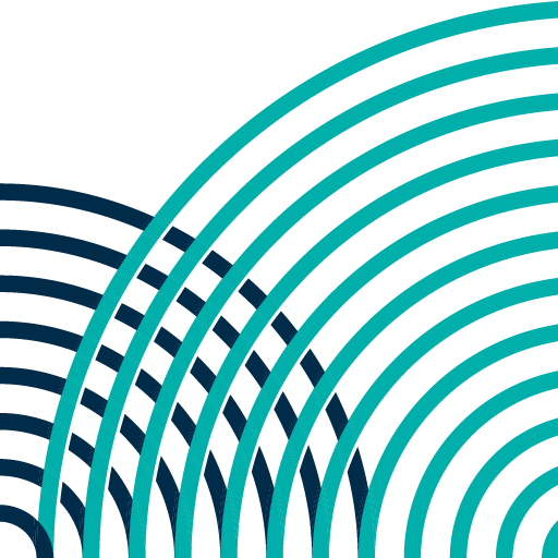 Baton Rouge Area Foundation logo