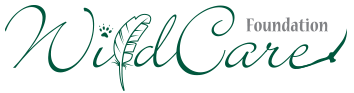 Wildcare Foundation logo