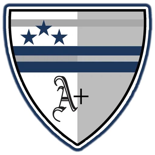 Academics Plus Charter Schools Inc logo