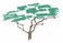 Institute for Environmental Innovation logo