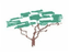 Institute for Environmental Innovation logo