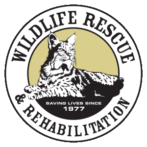 Wildlife Rescue and Rehabilitation Inc logo