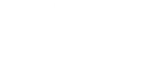 Denver Youth Program logo