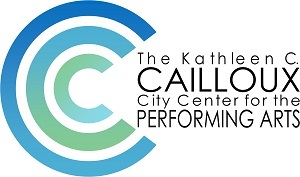 Playhouse 2000 Inc logo