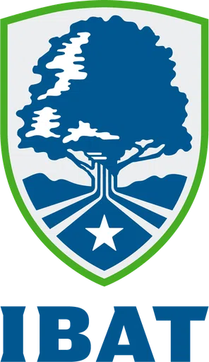 Main Street Foundation logo