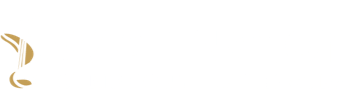 Washington Symphonic Orchestra Inc logo