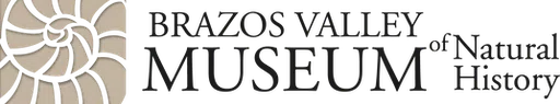 Brazos Valley Museum of Natural History logo